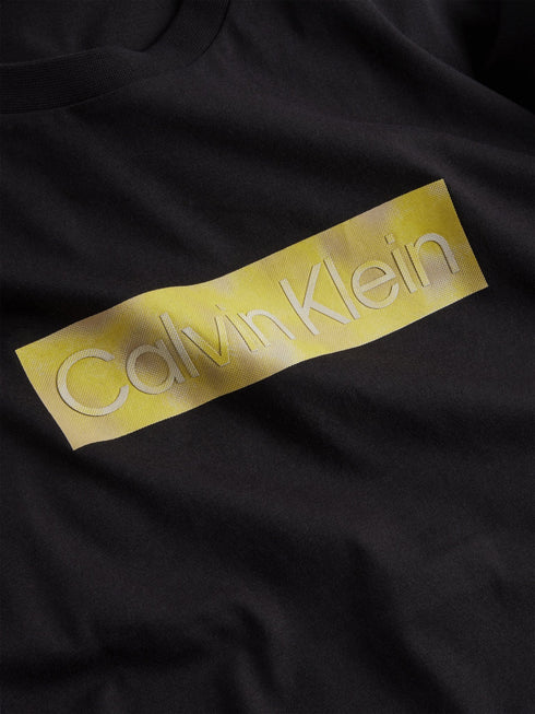 T-shirt Uomo cotone Nero Calvin Klein- Francavilla Moda